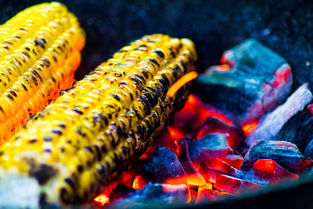 AC米兰队-运动饮食干预对运动表现的促进研究，举例阐述饮食运动对健康的意义